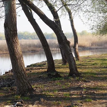 Oreg Harcsa Vendeghaz * Tiszafüred